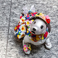 aibo「きなこ」の初お披露目に「動く25周年記念aibo」など見どころ満載！大盛況の「aiboファンミーティング18」写真レポート