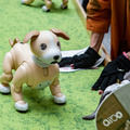 aibo「きなこ」の初お披露目に「動く25周年記念aibo」など見どころ満載！大盛況の「aiboファンミーティング18」写真レポート