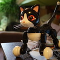 DSC00815