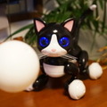 DSC00829
