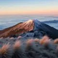 桜からバラの香りへ、富士山頂の匂いを再現・・観客から新鮮な驚きと反響 “香り”によるイマーシブ体験のライブイベントが進む