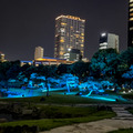 日本庭園で幻想的な光と音のライトアップを楽しむ「旧芝離宮夜会 ひかりめぐる庭」体験レポート　5月25日まで開催