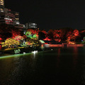 日本庭園で幻想的な光と音のライトアップを楽しむ「旧芝離宮夜会 ひかりめぐる庭」体験レポート　5月25日まで開催