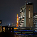 日本庭園で幻想的な光と音のライトアップを楽しむ「旧芝離宮夜会 ひかりめぐる庭」体験レポート　5月25日まで開催