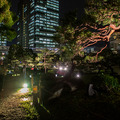 日本庭園で幻想的な光と音のライトアップを楽しむ「旧芝離宮夜会 ひかりめぐる庭」体験レポート　5月25日まで開催