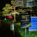 日本庭園で幻想的な光と音のライトアップを楽しむ「旧芝離宮夜会 ひかりめぐる庭」体験レポート　5月25日まで開催