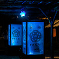 日本庭園で幻想的な光と音のライトアップを楽しむ「旧芝離宮夜会 ひかりめぐる庭」体験レポート　5月25日まで開催