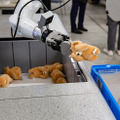 【動画】日本の物流倉庫でもついにヒューマノイドの試験導入が始まる！完全自律のピッキング作業を公開