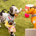 ロボットとの“ちょっと先の未来”を体験! 家族連れやカップルでにぎわう「ちょもろー2025」竹芝で開催 ともだちロボットが人気