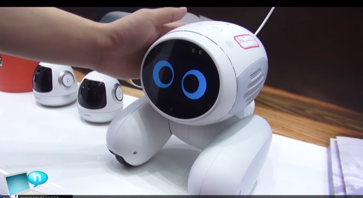 ディズニーとコンテンツ提携を進める中国のai搭載ペットロボット Domgy ドムジー が可愛い ロボスタ
