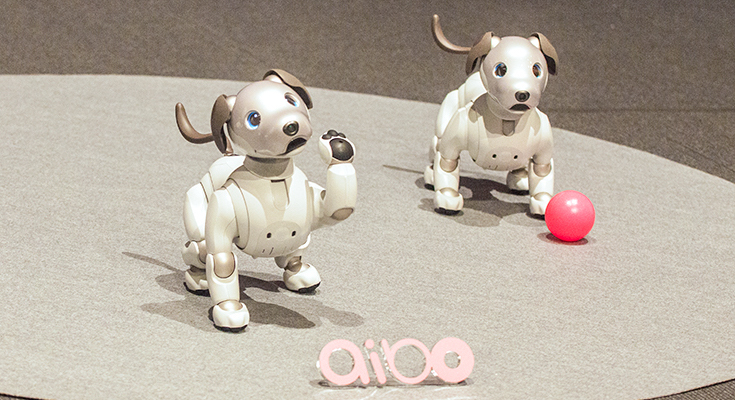 ソニーの Aibo アイボ は明日1月11日発売 Aiboのスペックや価格 最新情報を改めてご紹介 ロボスタ