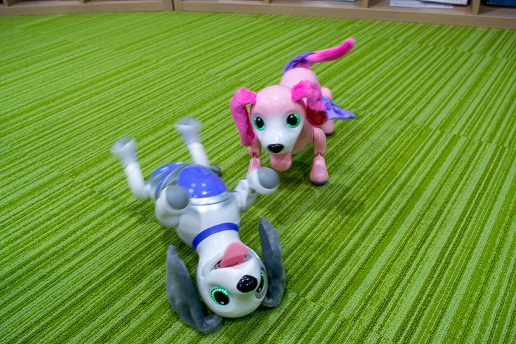 Aiboよりやんちゃな犬型ロボット ハロー ズーマー ミニチュアダックス タカラトミーが発売へ 価格は1万5千円 ロボスタ