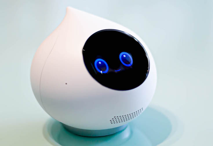 予想外の会話が楽しめる自律型会話ロボット「Romi」(ロミィ) 速攻