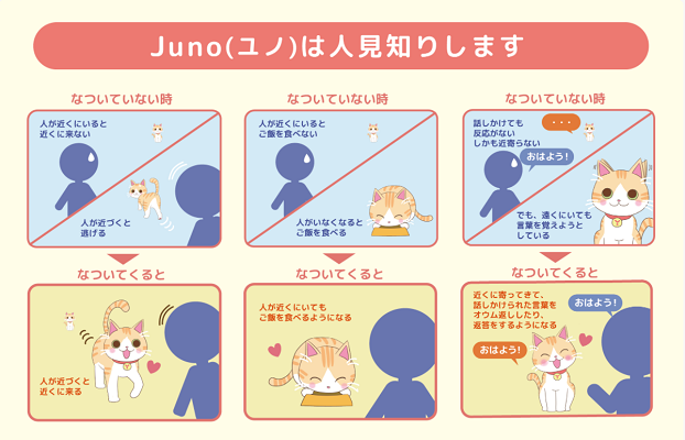 ユピテルの猫型バーチャルペット Juno のcmに中村アンさん登場 日々の成長 篇でjunoと暮らす日々と楽しさを表現 ロボスタ