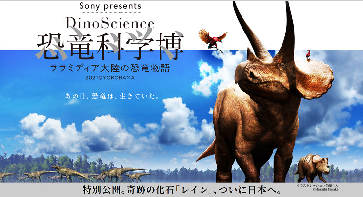 世界で最も完全で美しい”トリケラトプスの実物全身骨格が日本初上陸