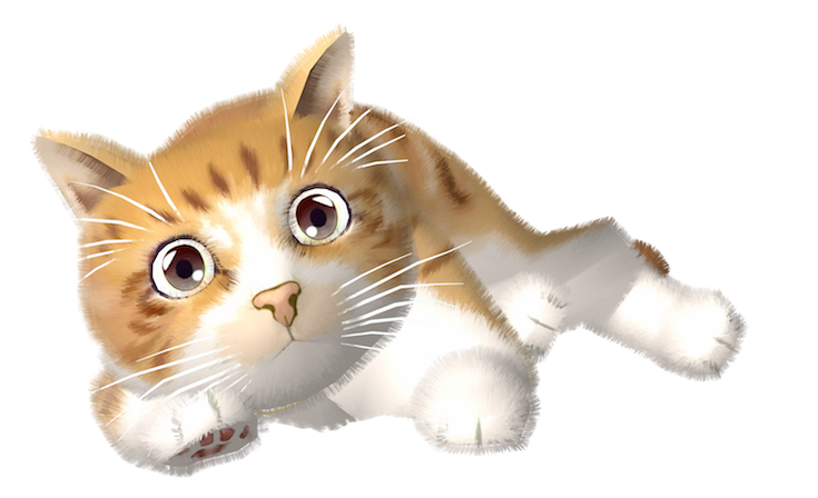 本物の猫のように育ち なつくバーチャルペット Juno ユノ ユピテル公式オンラインショップにて発売 ロボスタ