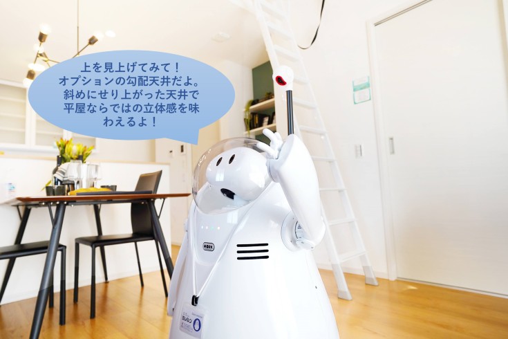 https://robotstart.info/2022/03/29/mini-milelun-robot-casa-robotics.html