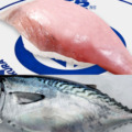 くら寿司のスマート養殖第3弾は「AIスマガツオ」 幻の高級魚を12月2日から全国展開 スマート養殖で持続可能な漁業へ