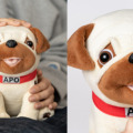 『宇宙兄弟』の愛犬パグ「アポ(APO)」が「甘噛みハムハム」になって発売！著者のアポ愛とこだわりを反映