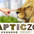 ライオンの肉球やカバのお腹など“動物のさわり心地”を体験！触覚と視覚の連動XR「新宿感触動物園 HapticZoo」の動画を公開