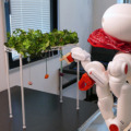 H2L、BodySharing技術を活用した「RaraaS」による遠隔農業ロボットサービス体験会を実施　農福連携を目指す