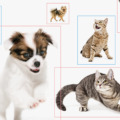 ペットの感情を動画からAIが判定するシステムの特許をアニコムHDが取得