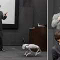 PwCと千葉工大fuRo、ロボットの経営者を育成する講座「ロボティクス経営道場」を10月に開講